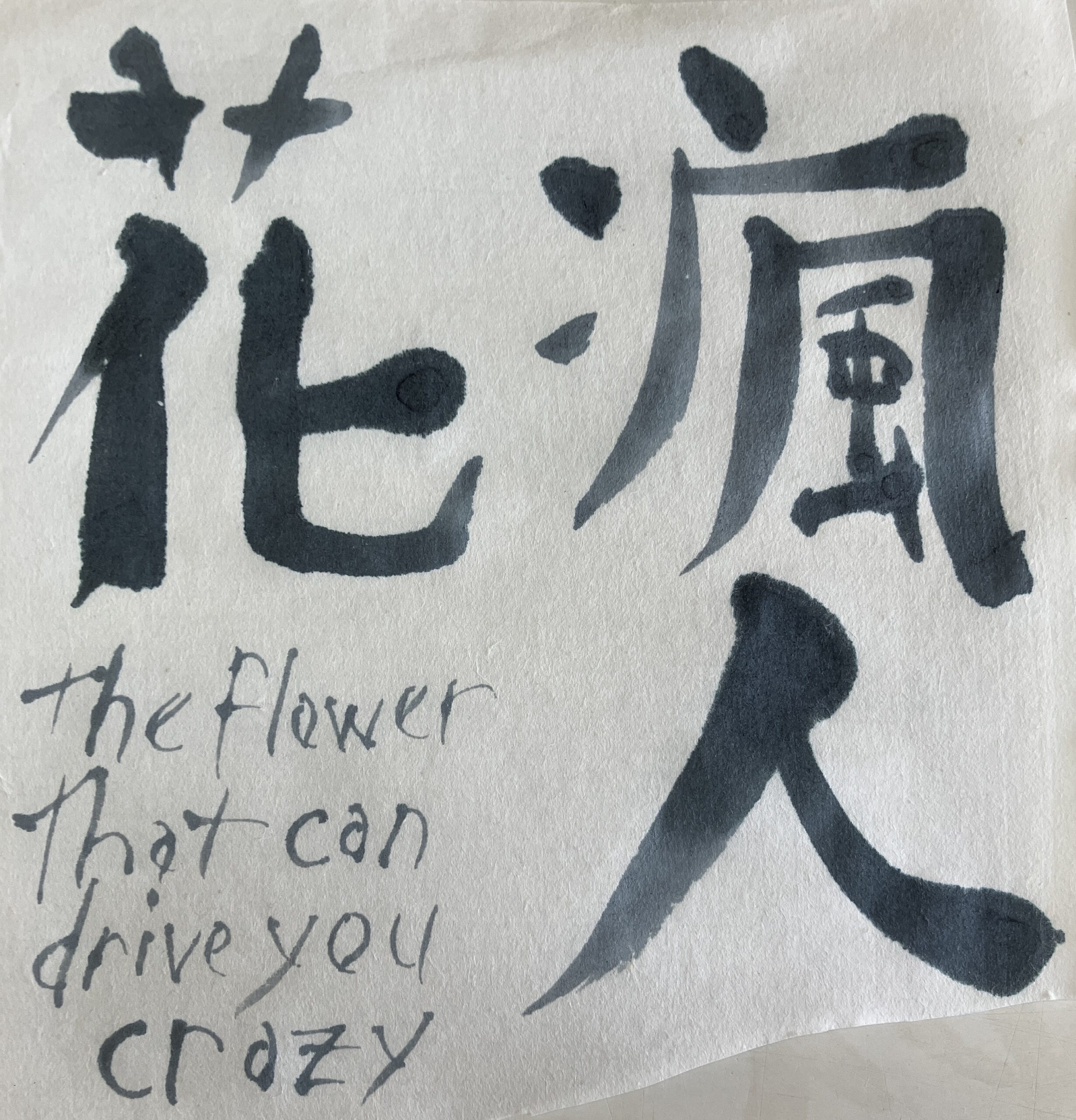 The Flower That Can Drive You Crazy 瘋人花